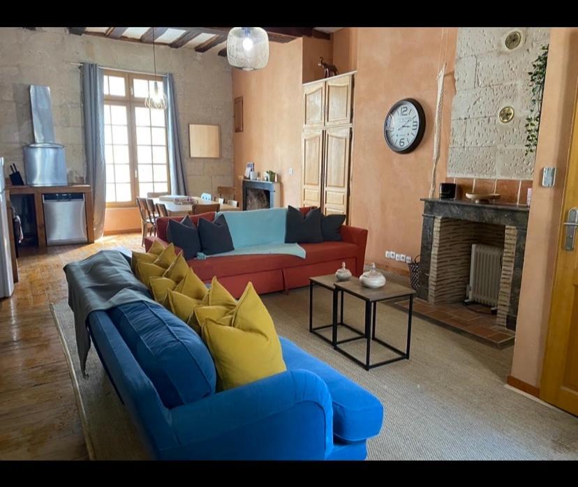 Grand Appartement Historique Rue Colbert Tours Esterno foto