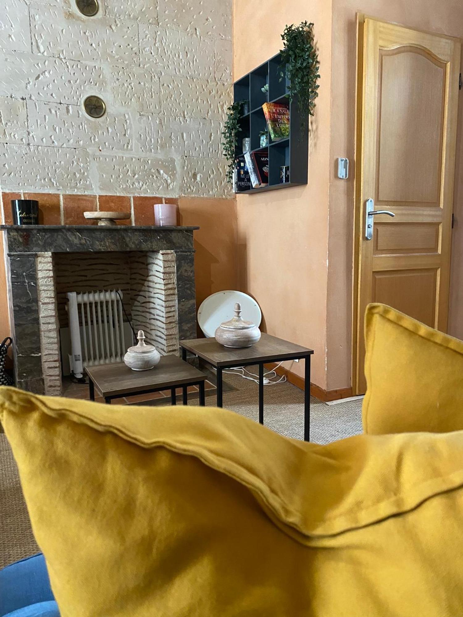 Grand Appartement Historique Rue Colbert Tours Esterno foto