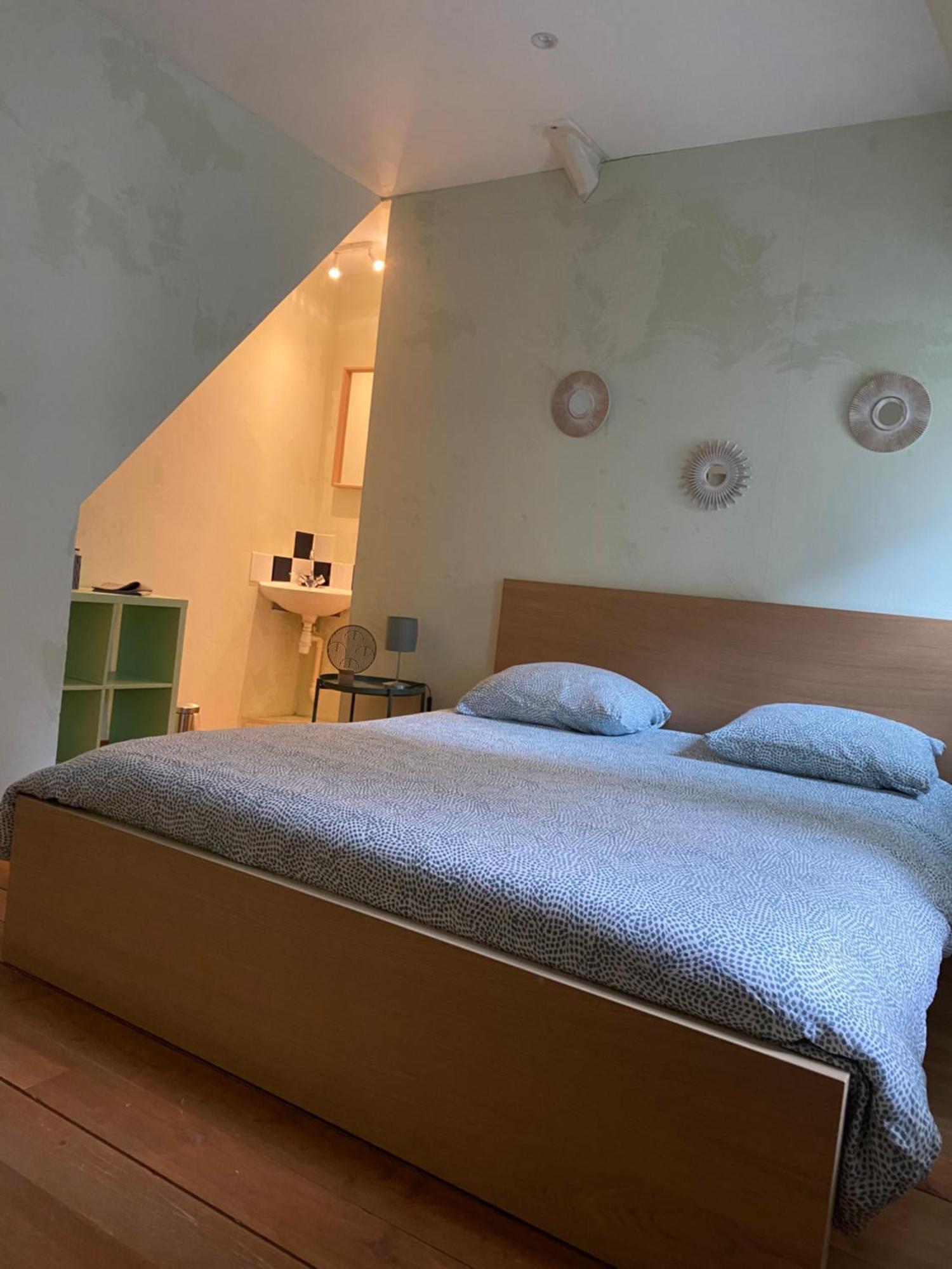 Grand Appartement Historique Rue Colbert Tours Esterno foto