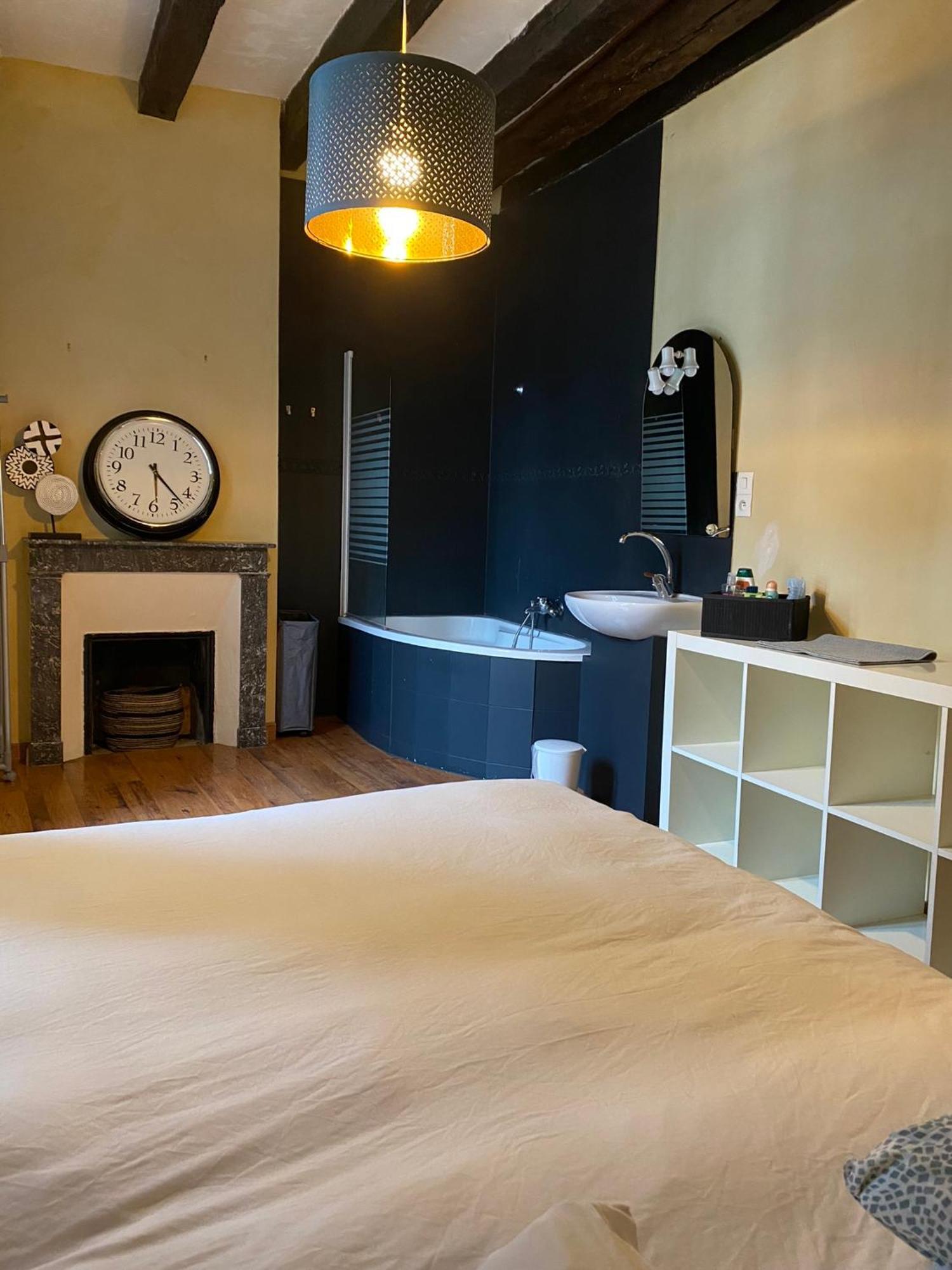 Grand Appartement Historique Rue Colbert Tours Esterno foto