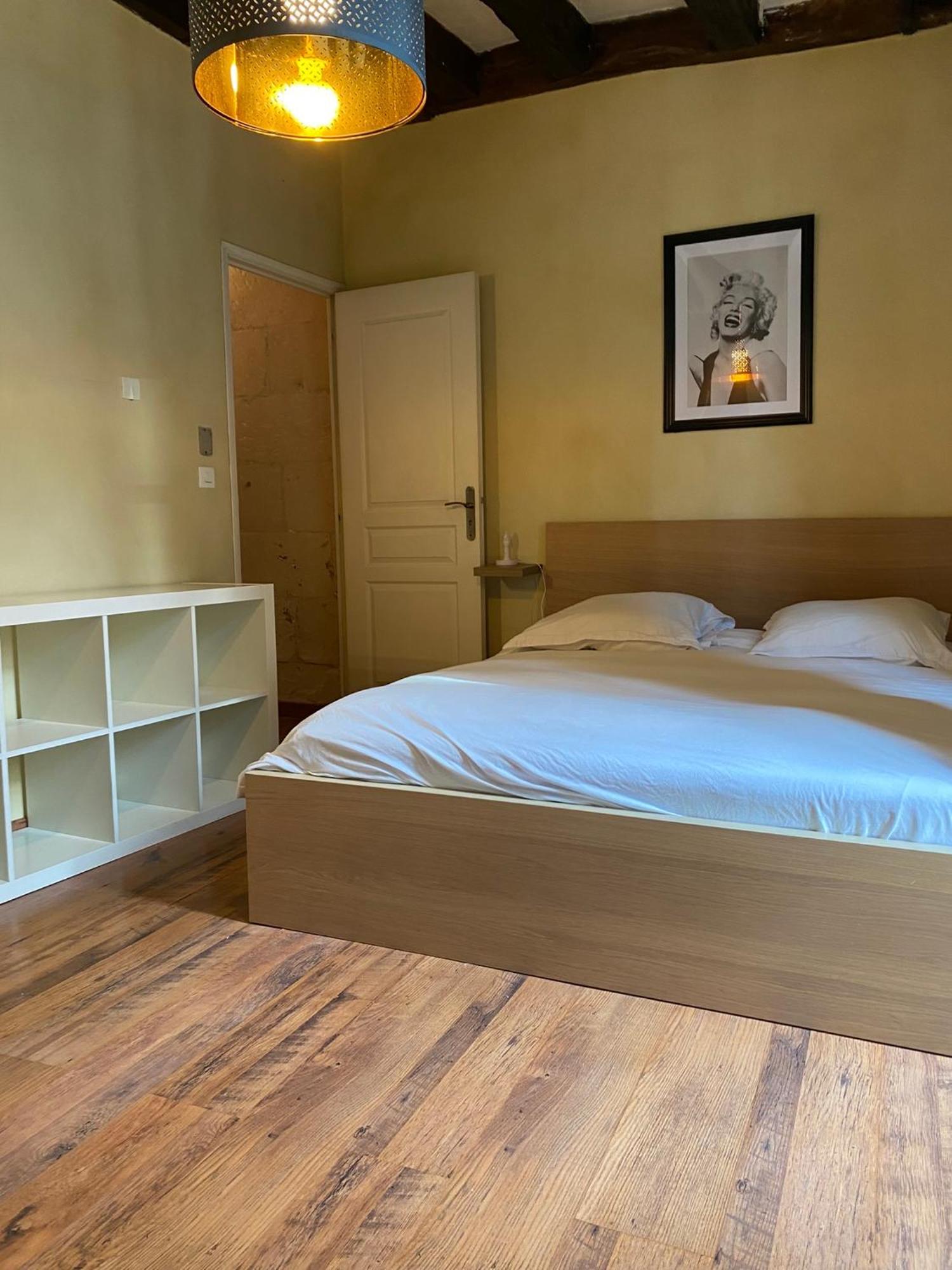 Grand Appartement Historique Rue Colbert Tours Esterno foto