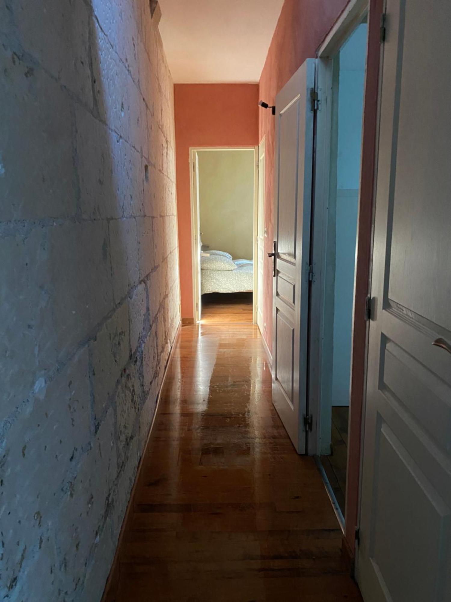 Grand Appartement Historique Rue Colbert Tours Esterno foto