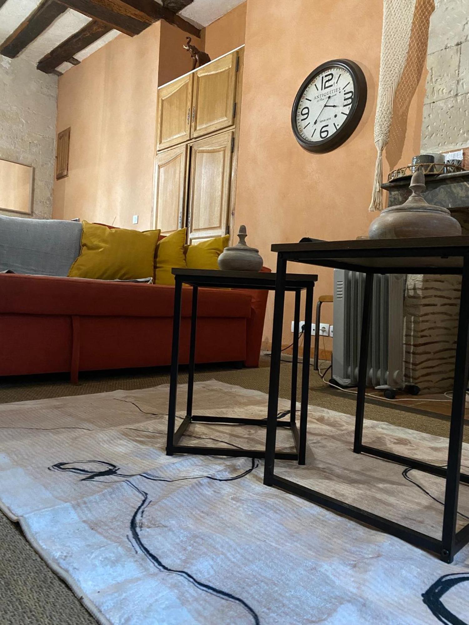 Grand Appartement Historique Rue Colbert Tours Esterno foto